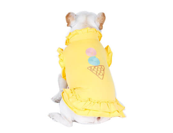 DA003 Embroidered ice cream dress