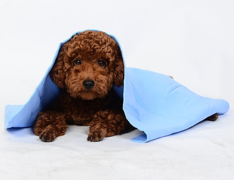 T002 Synthetic Deerskin Dog Towel