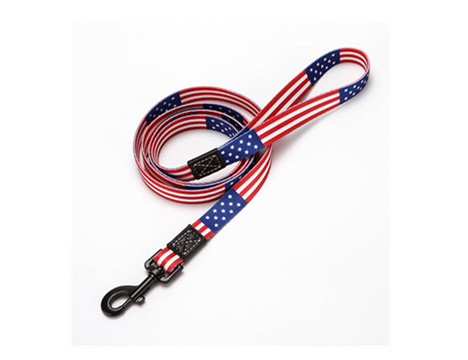 DL001 American Flag Dog Leash