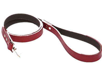 DL003 Dog Leash