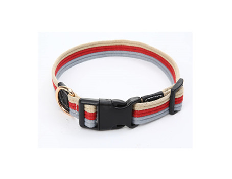 DC002 Canvas Dog Collar