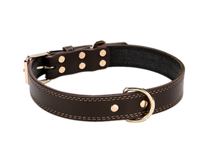 DC004 Dog Collar