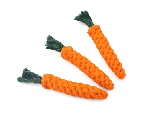 DT070 Carrot Toy