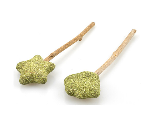 CS002 Natural Catnip Lollipop